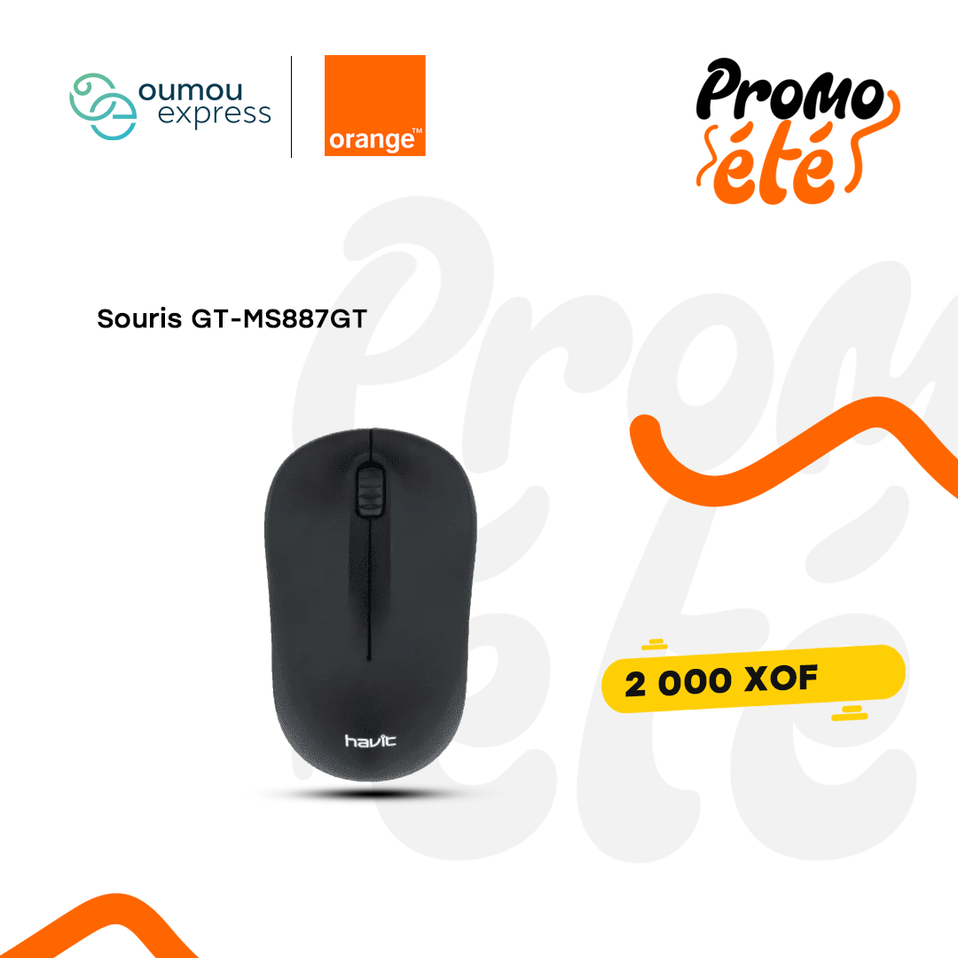 havit Souris sans fil GT-MS887GT By OumouGroup