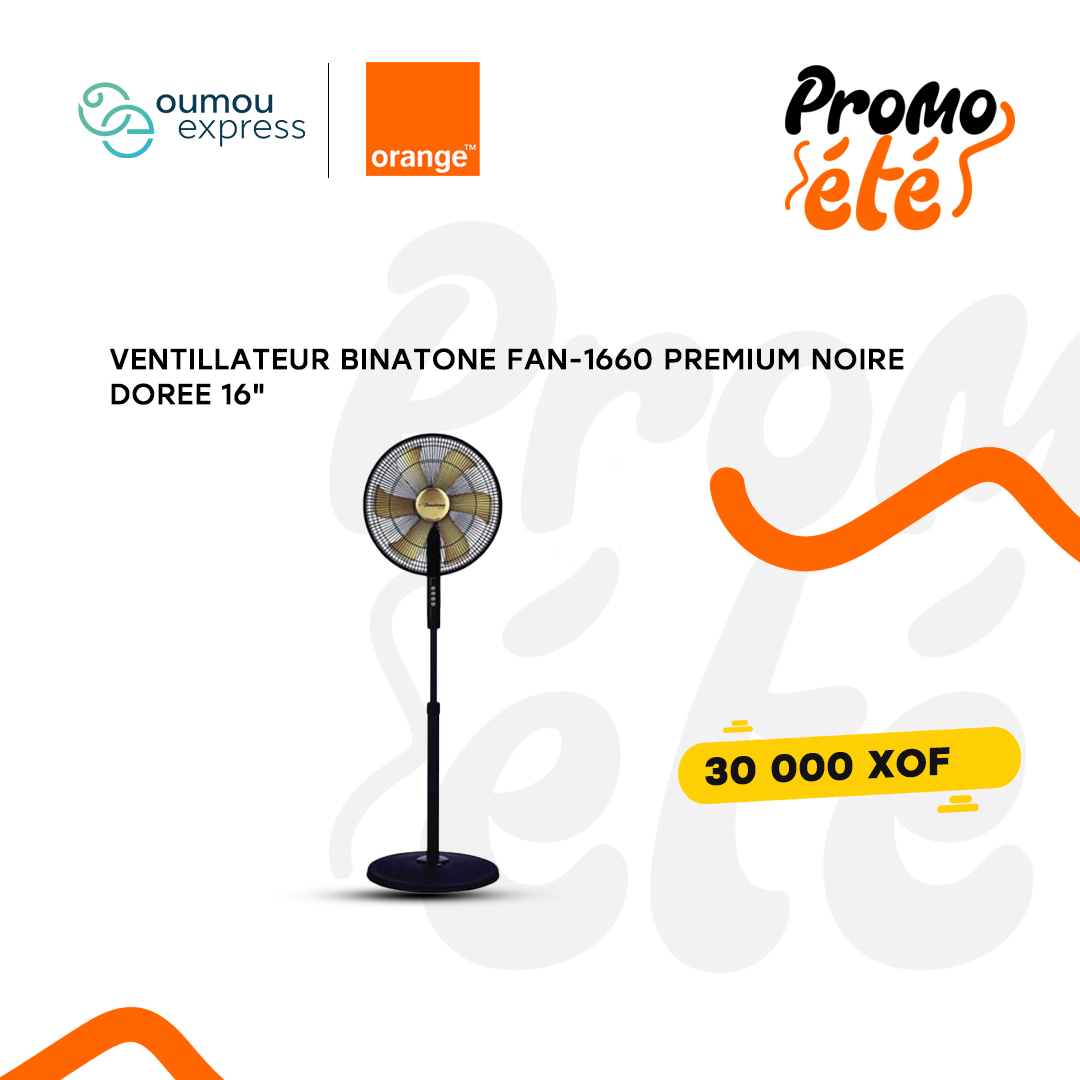 Ventilateur binatone FAN-1660 Premium 16pouces By OumouGroup