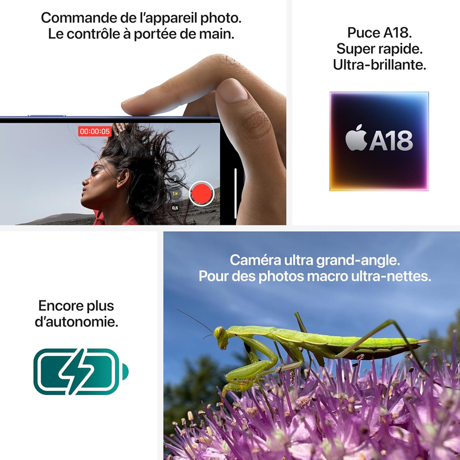 iPhone 16 Plus Teal 256Go