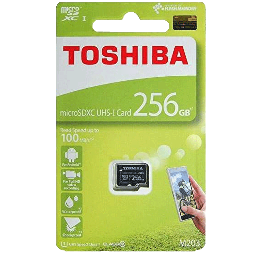 Toshiba Carte mémoire SD 256Go By Digital Stores