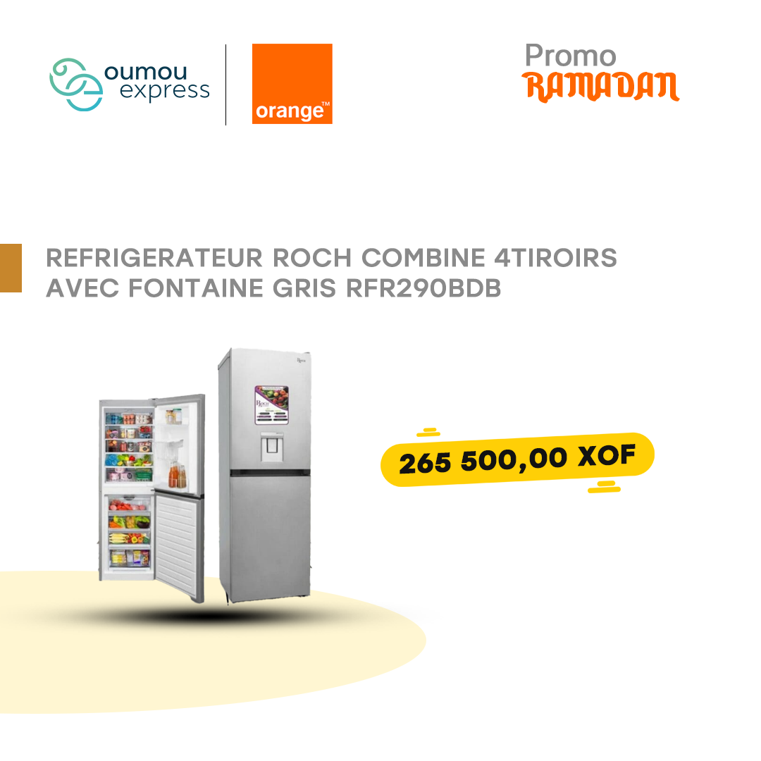 Réfrigérateur Roch combine 4tiroirs avec fontaine gris rfr290bdb by oumougroup