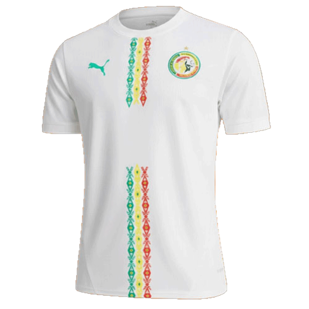 Puma Maillot Supporter taille XL CAN 2025